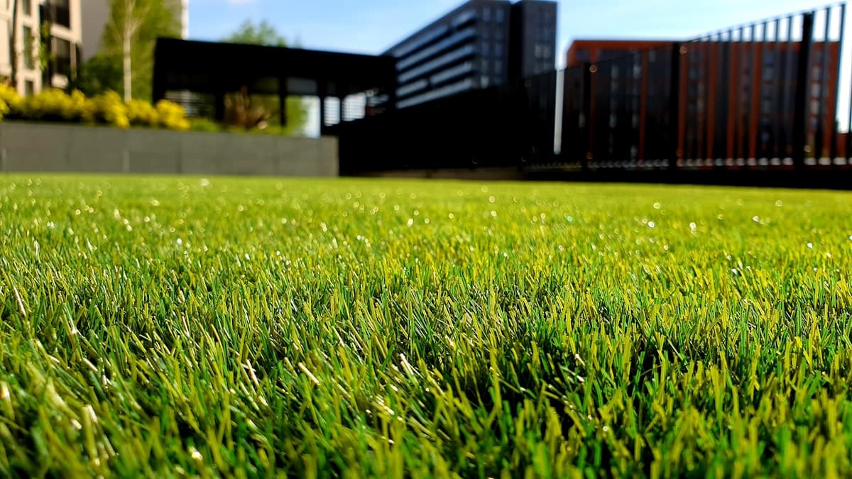 Jardin aménagé par un paysagiste